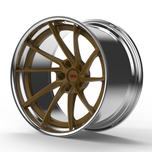 Polished Barrel with Gloss Bronze Spokes